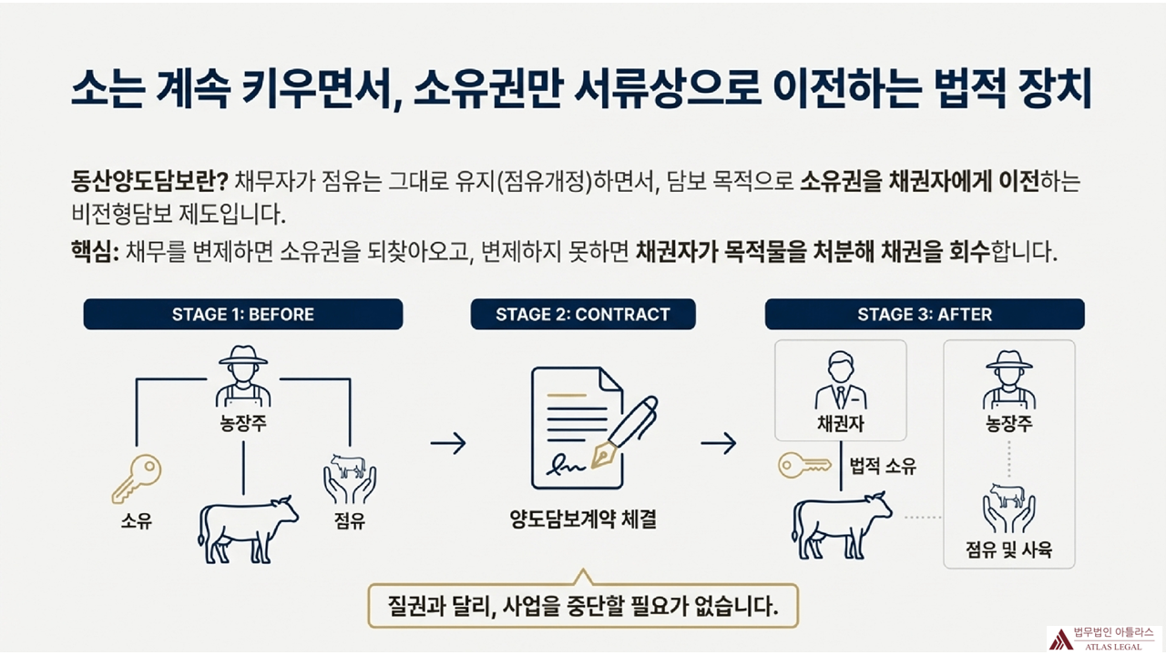 소유권 계약 3단계 프로세스를 보여주는 인포그래픽 - 계약 전 농장주 소유권 확인, 계약서 작성 단계, 계약 후 채권자에게 소유권 이전하는 과정을 시각적으로 설명